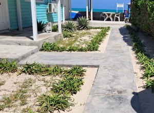 Treasures Of Andros Beach | Andros Town