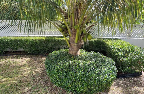Westward Villas Subdivision Apartment | Cozy studio #5 with pool near beach VRBO