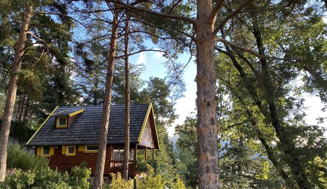 Authentic fully refurbished mountain cabin with views