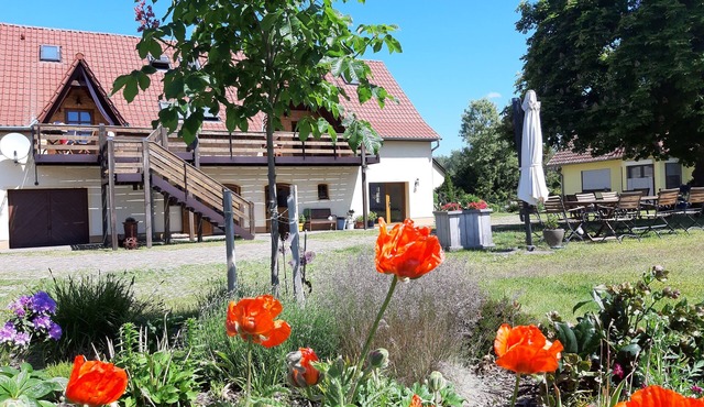 Here you can rest fortuitous! National Park "Lower Oder Valley"