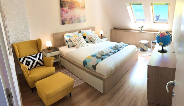 Unique Luxurious Jacuzzi PENTHOUSE DUPLEX in City Center! 2 BATHS! Free PARKING!