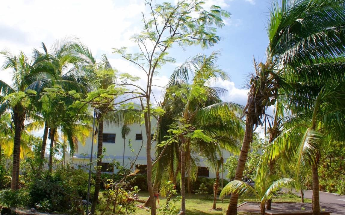 Photo of Others in Nassau