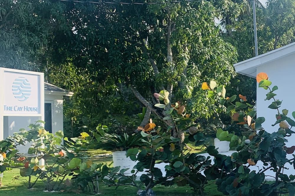 Photo of Outdoor in Mangrove Cay