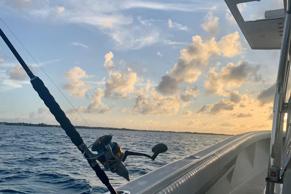 Photo of Others in Mangrove Cay