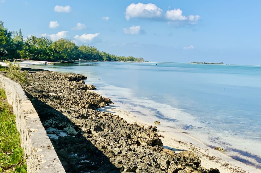 Photo of Others in Mangrove Cay