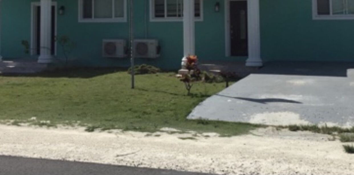 Photo of Outdoor in Nicholls Town