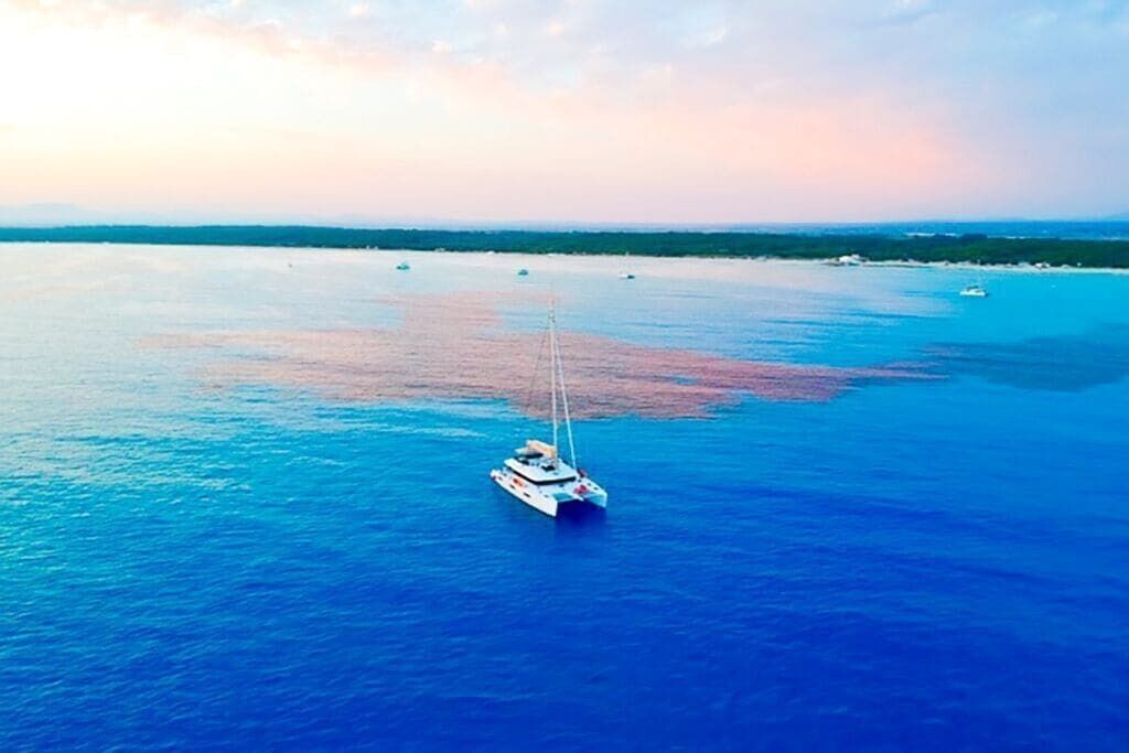 Photo of Others in Palm Cay
