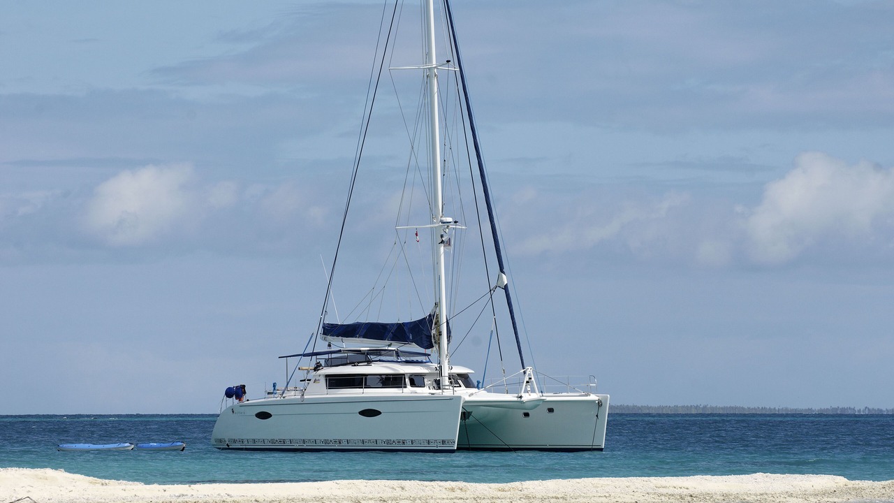 Photo of Others in Palm Cay