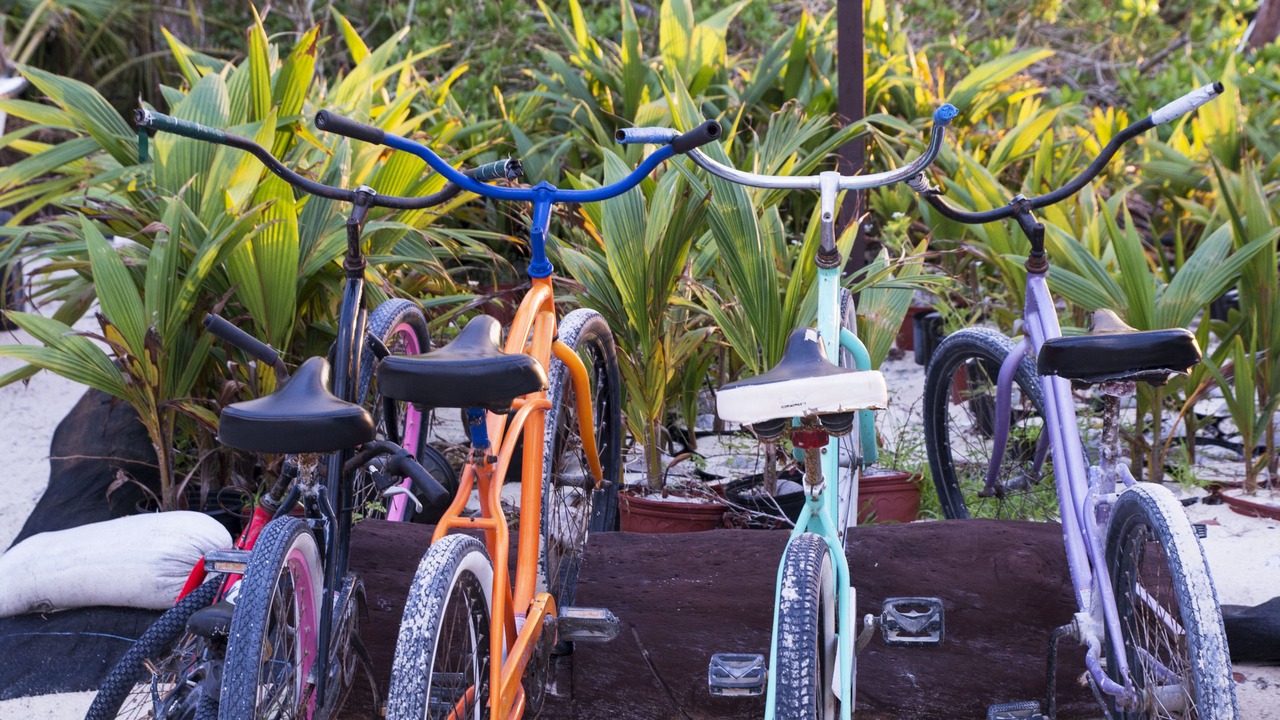 Photo of Outdoor in Andros Town