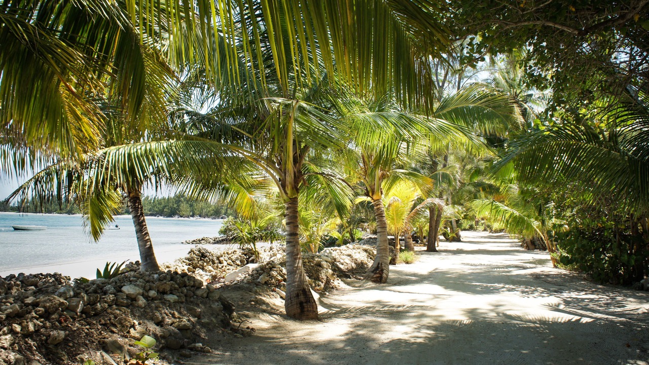 Photo of Outdoor in Andros Town