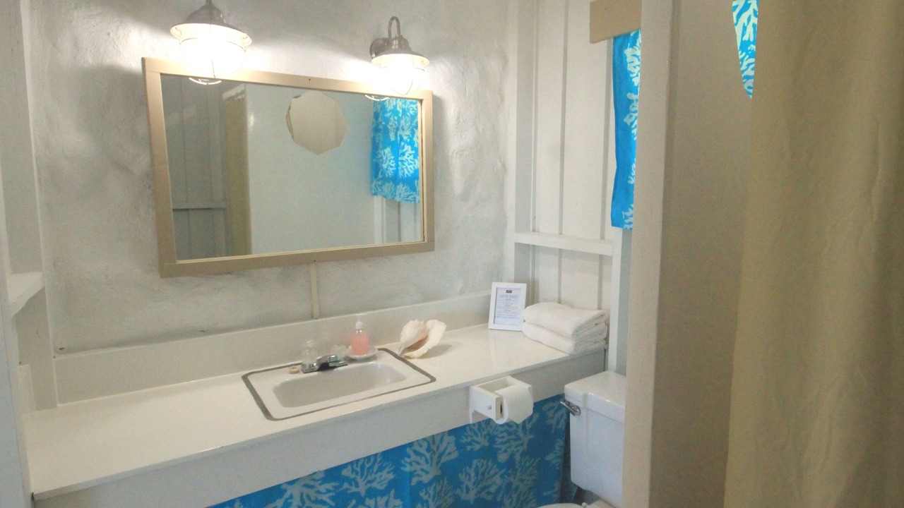 Photo of Bathroom in Andros Town
