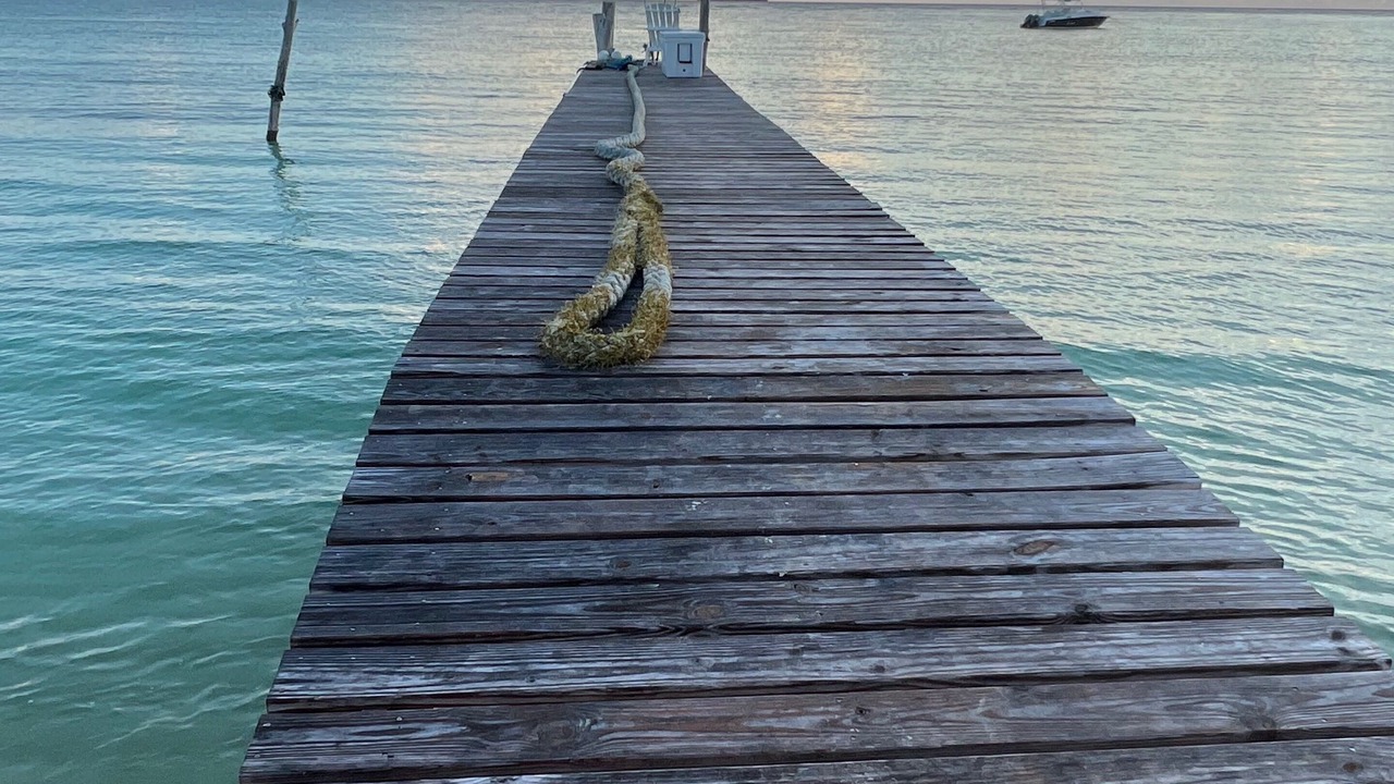 Photo of Others in Morgan's Bluff