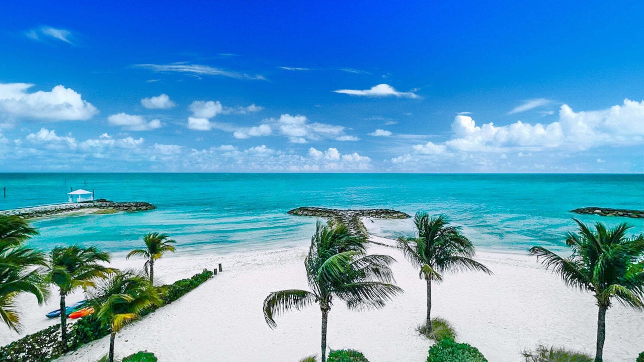 Photo of Others in Palm Cay