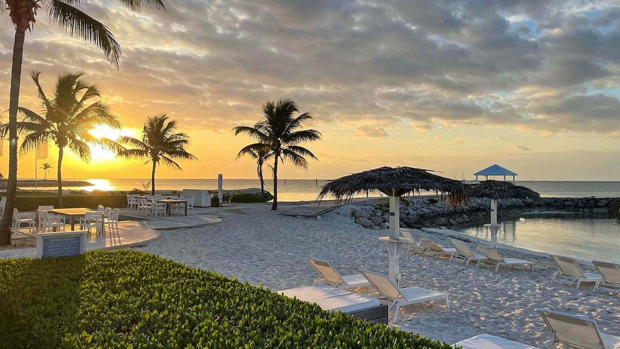 Photo of Others in Palm Cay