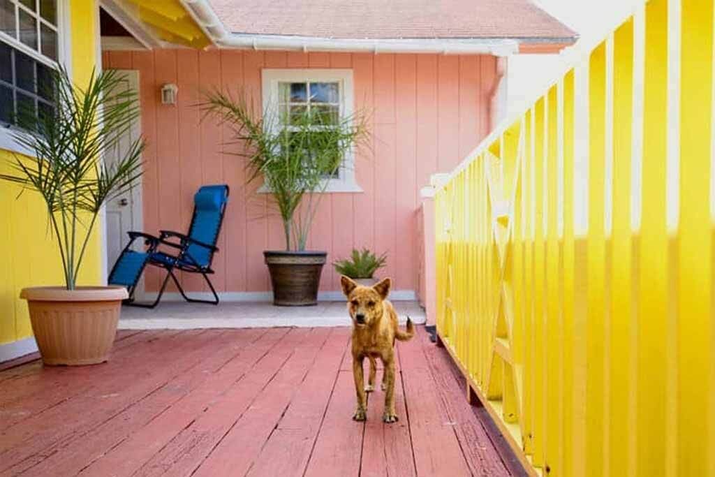 Photo of Outdoor in South Andros