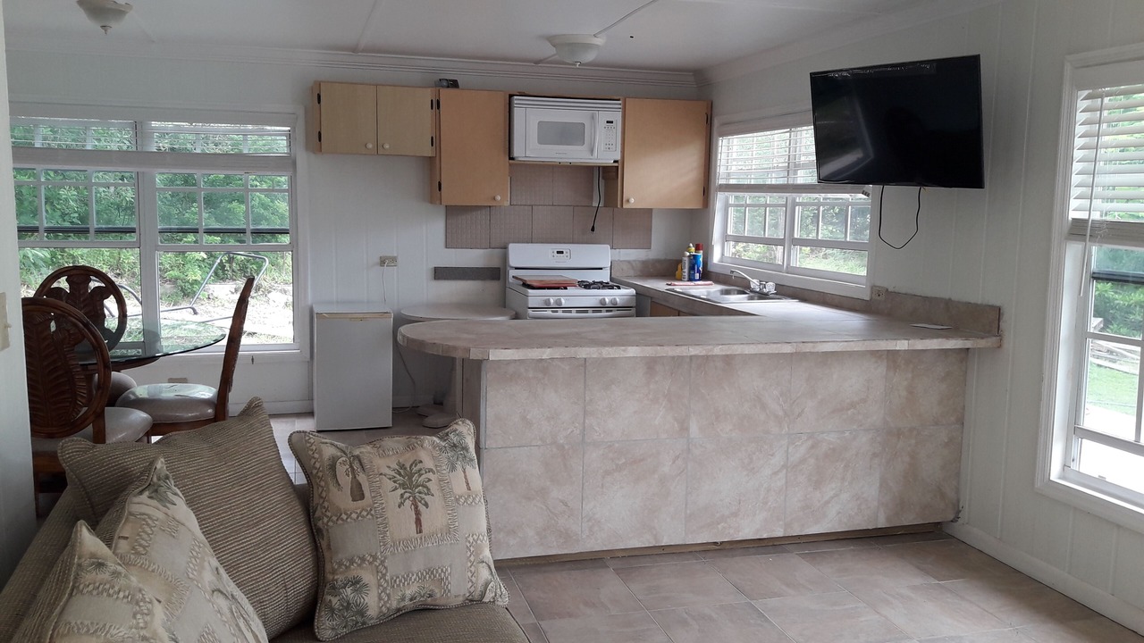 Photo of Livingroom in Andros Town