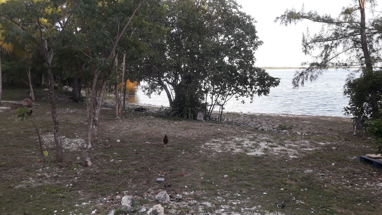 Photo of Outdoor in Andros Town