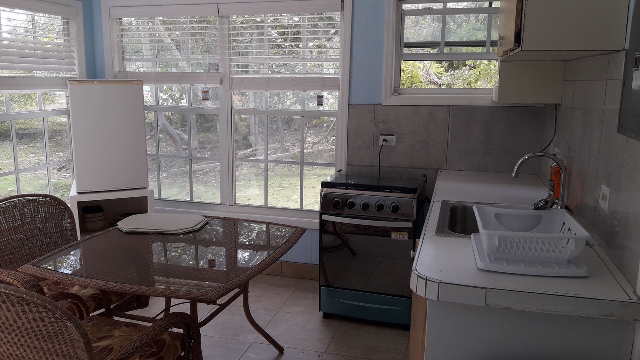 Photo of Kitchen in Andros Town