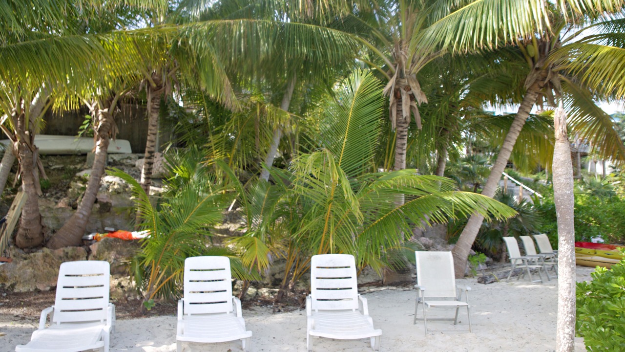 Photo of Others in Great Exuma