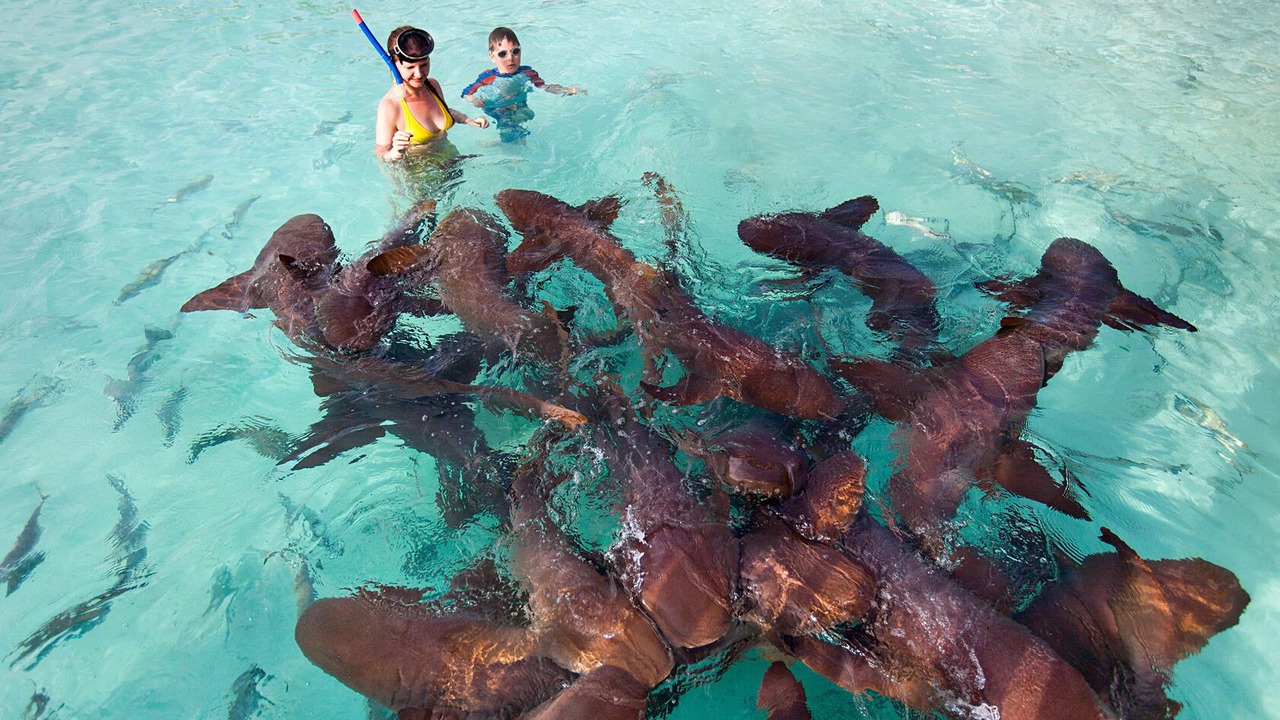 Photo of Others in Great Exuma