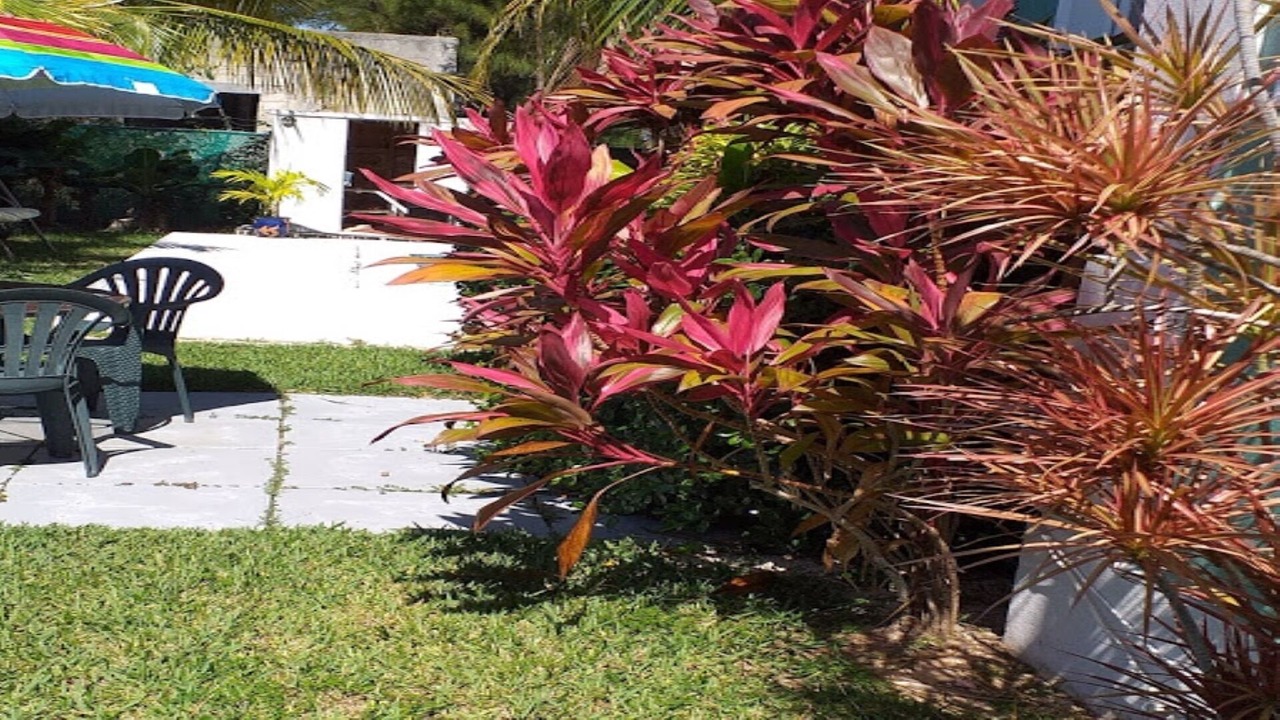 Photo of Others in Nassau
