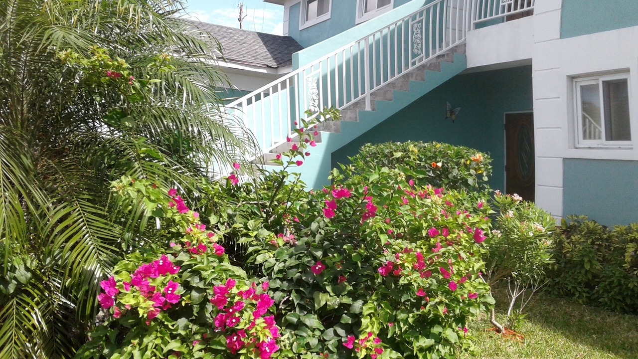 Photo of Others in Nassau