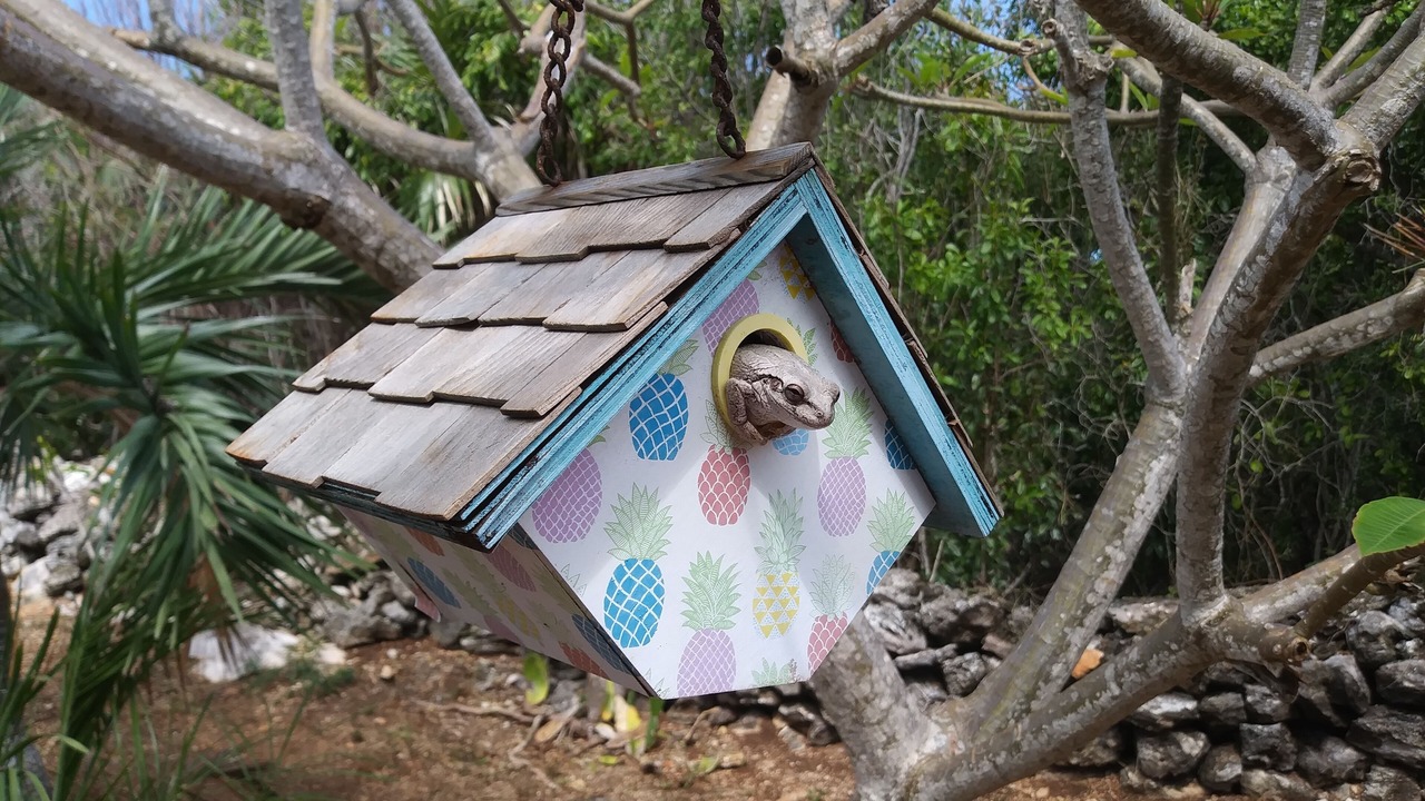 Photo of Others in Great Exuma
