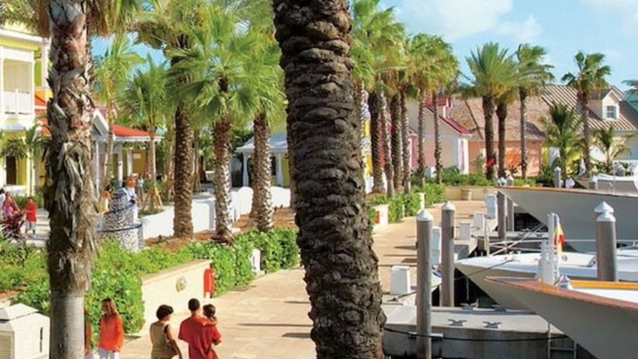 Photo of Outdoor in Paradise Island