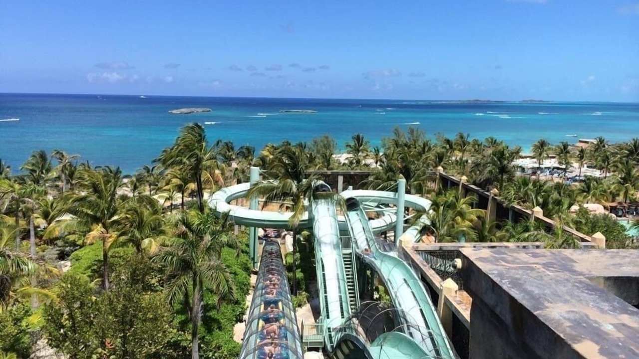 Photo of Others in Paradise Island