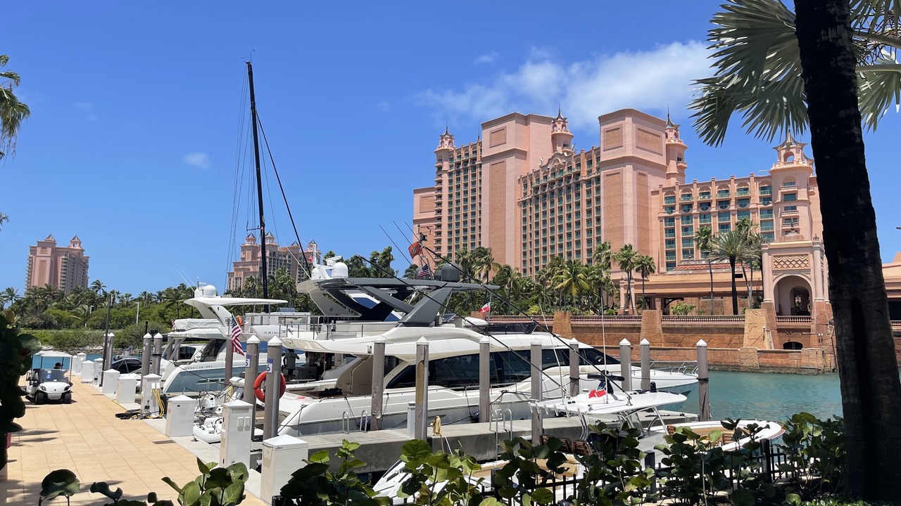 Photo of Others in Paradise Island