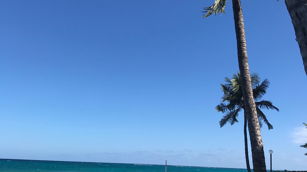 Photo of Outdoor in Nassau