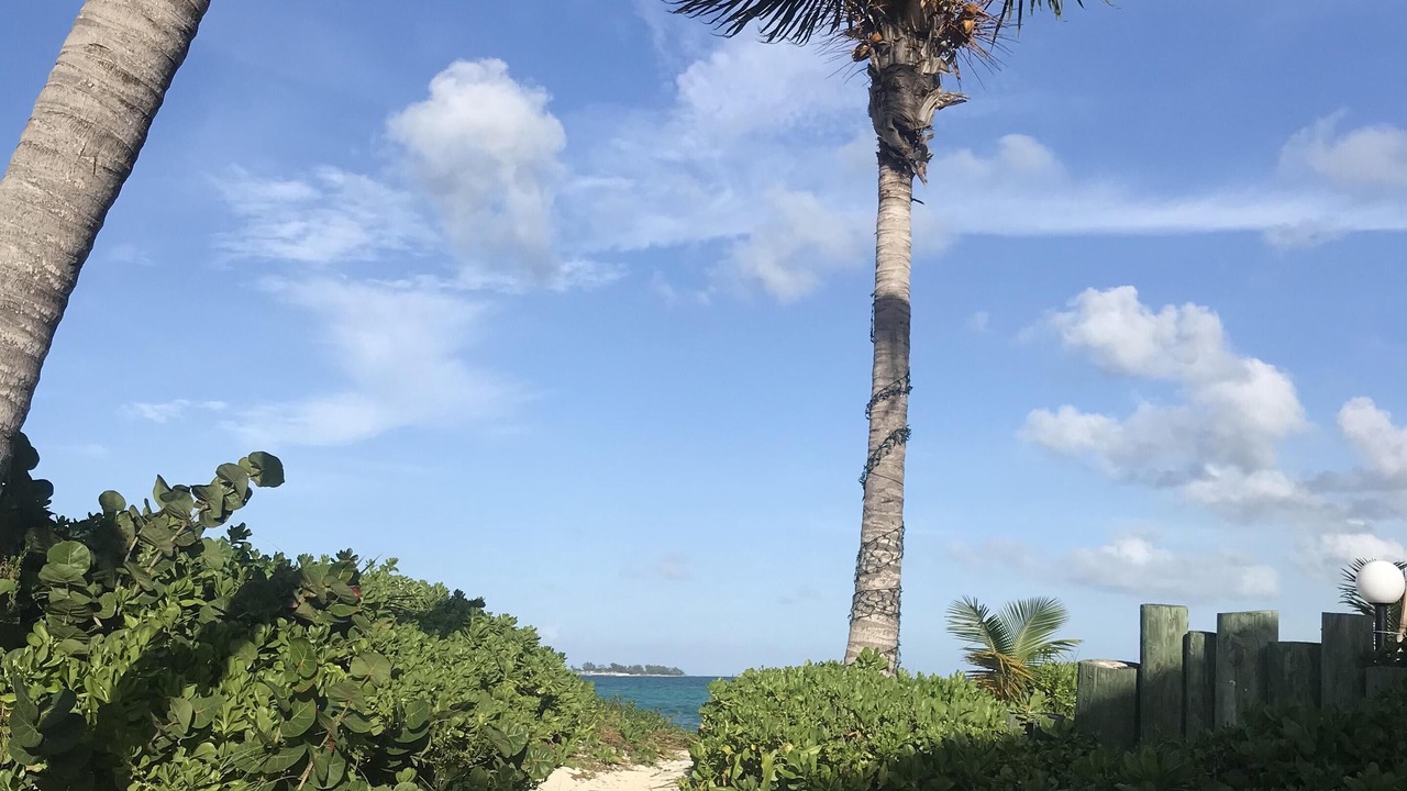 Photo of Outdoor in Nassau