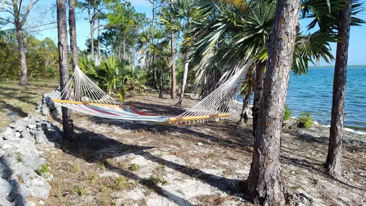 Photo of Others in North Andros