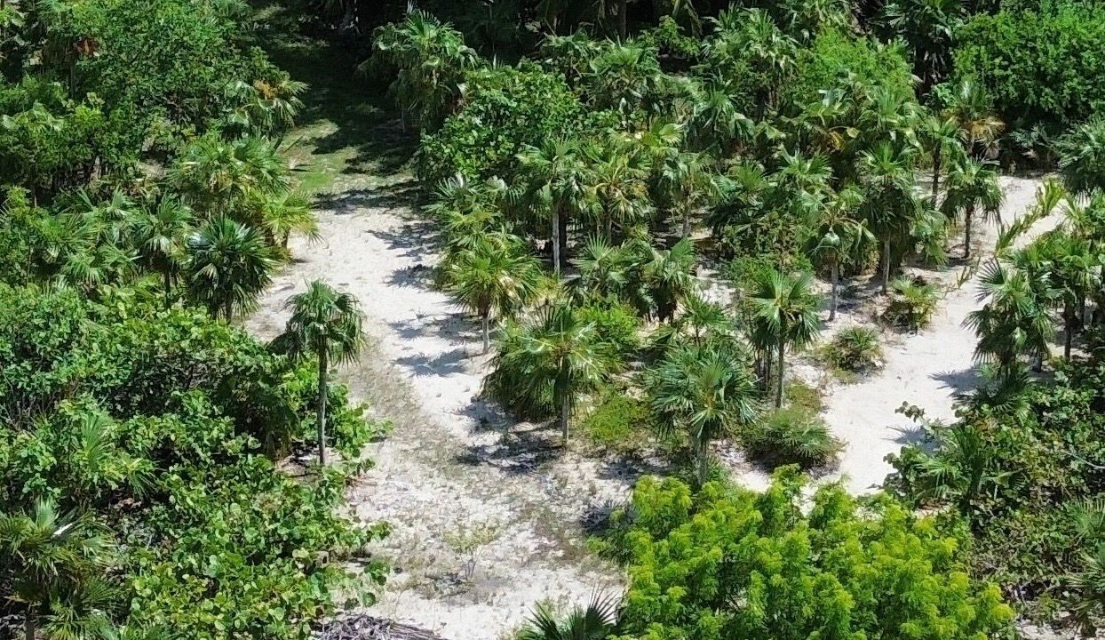Photo of Others in Great Exuma