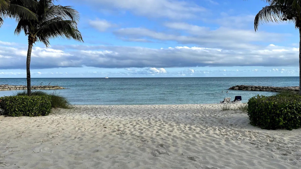Photo of Others in Palm Cay