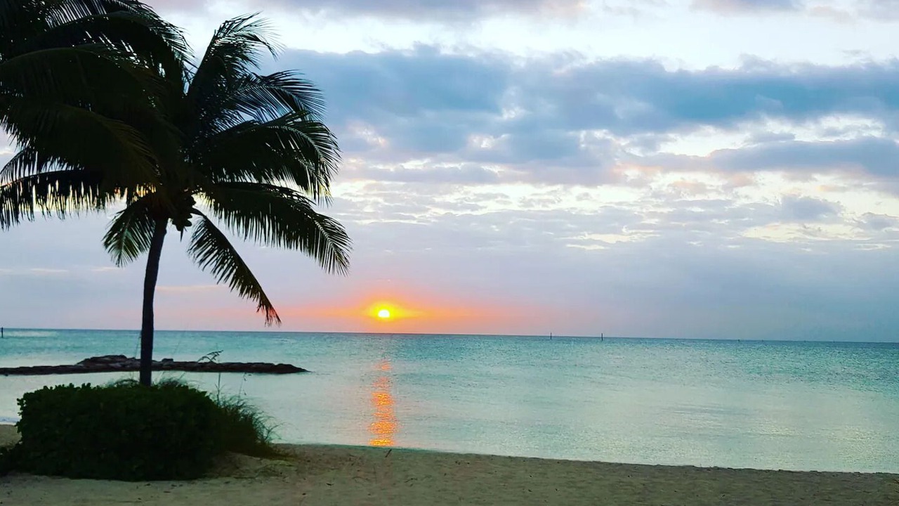 Photo of Others in Palm Cay