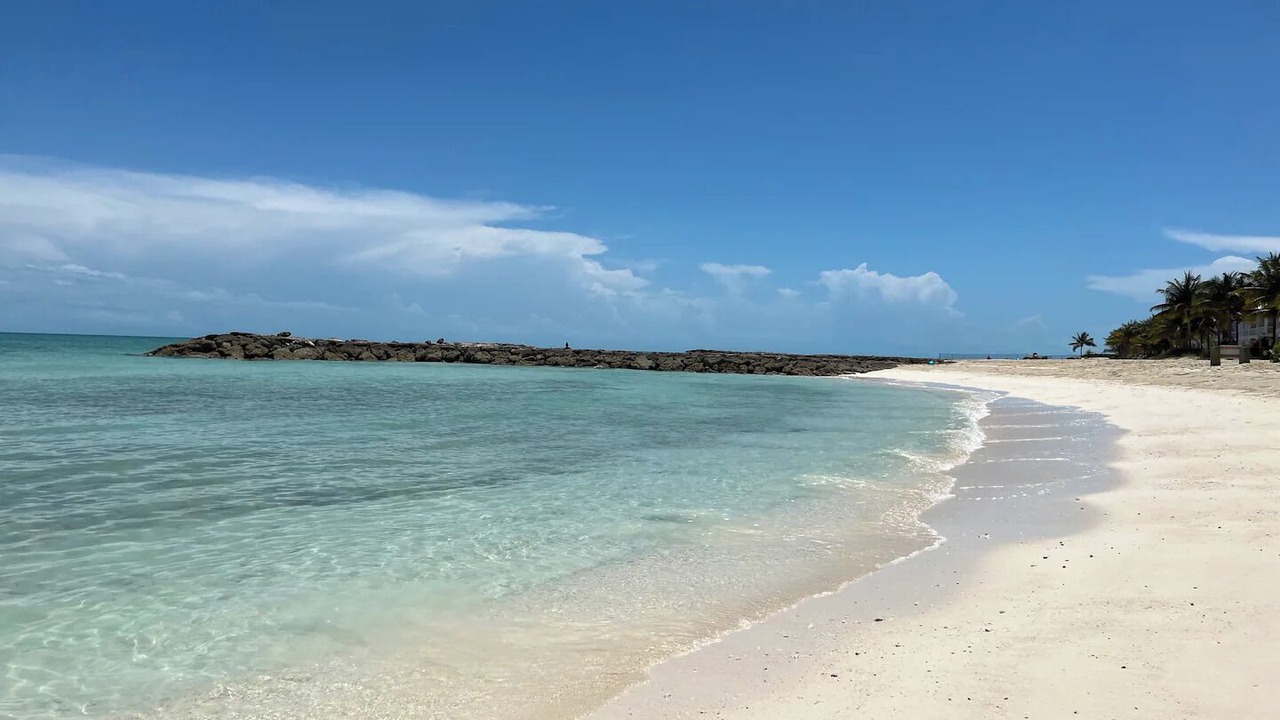 Photo of Others in Palm Cay