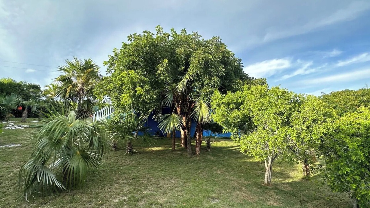 Photo of Outdoor in Rainbow Bay