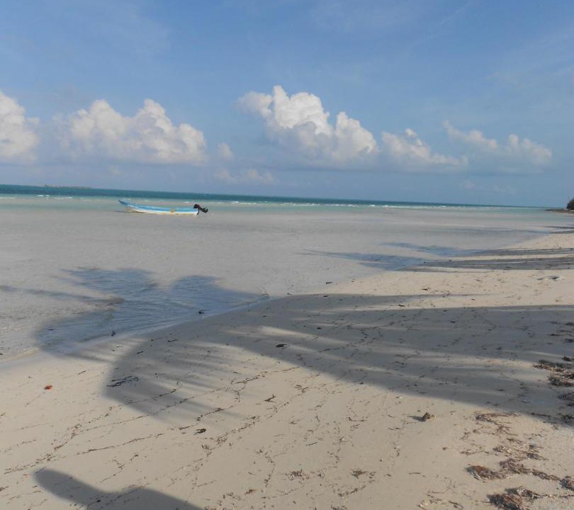 Photo of Others in Kemps Bay