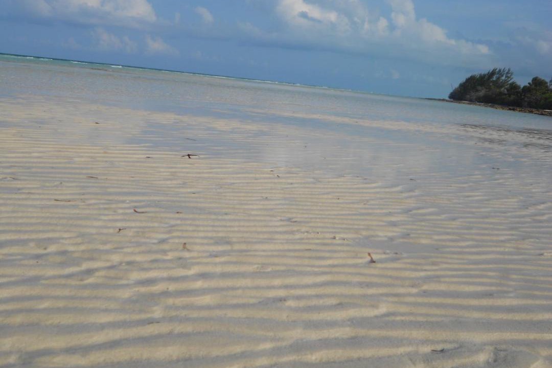 Photo of Others in Kemps Bay