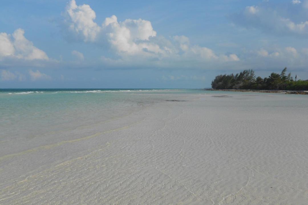 Photo of Others in Kemps Bay