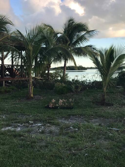 Photo of Others in Coral Harbour