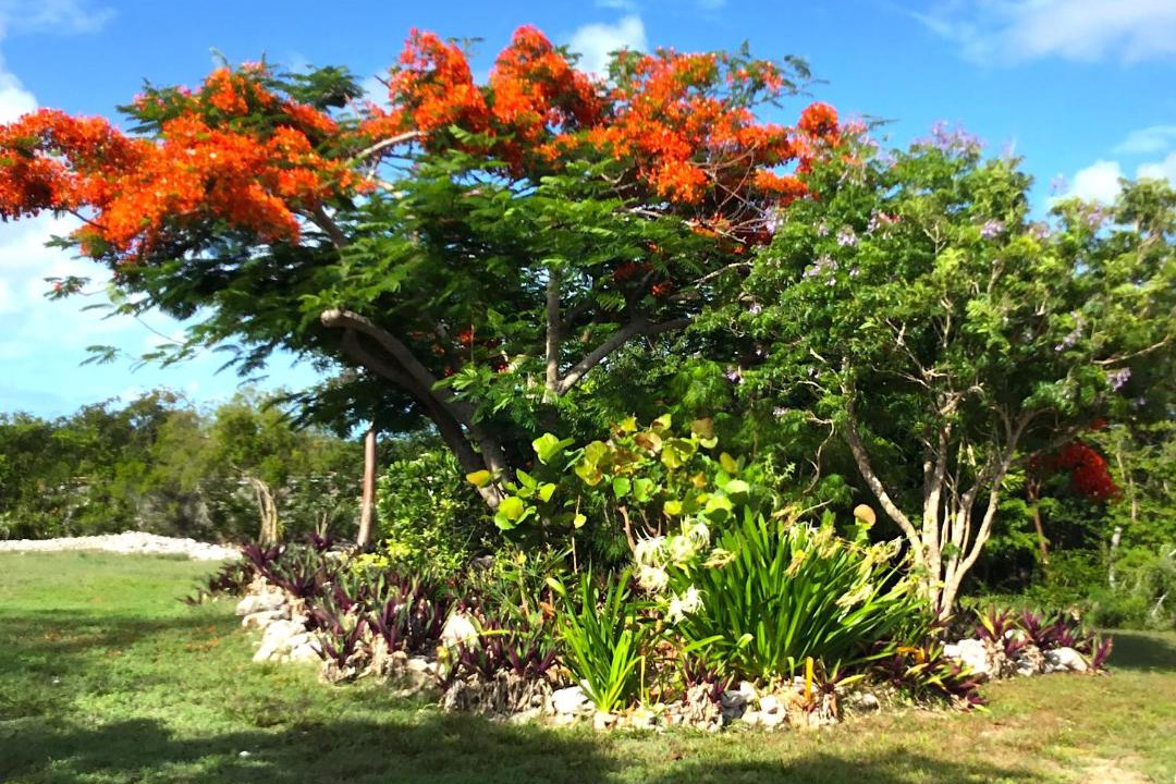 Photo of Others in Great Exuma